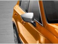 Coque de Rétroviseur argent ATECA