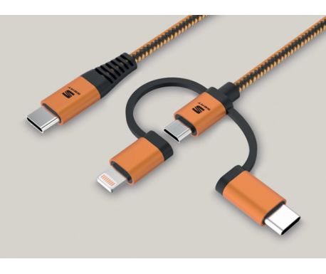 Cable 3 en 1 SEAT